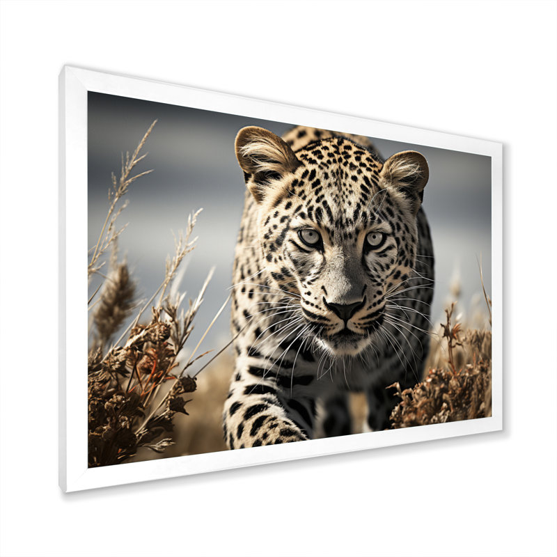 Portrait de guépard élégant - impression, H 30 po x l 40 po x P 1,5 po, Cadre photo blanc