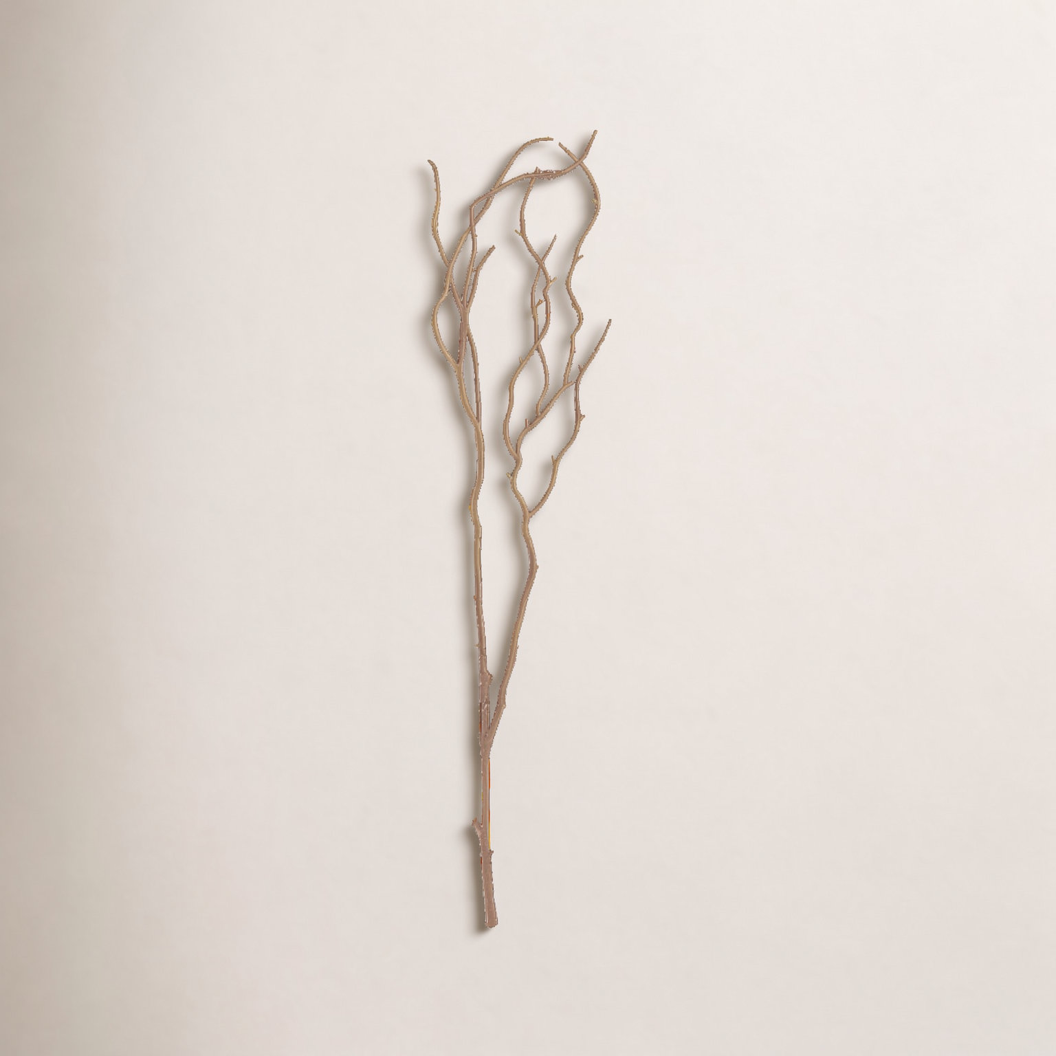 Rimma Willow Twig Stems