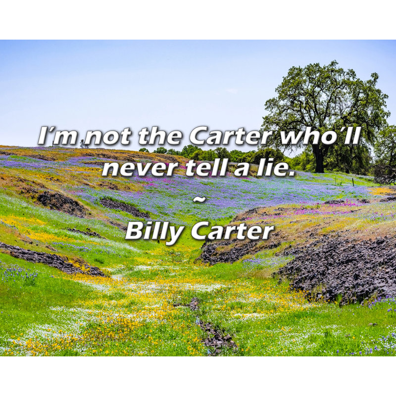 Billy Carter Citation: Je ne suis pas le Carter qui ne mentira jamais., H 20 po x l 24 po