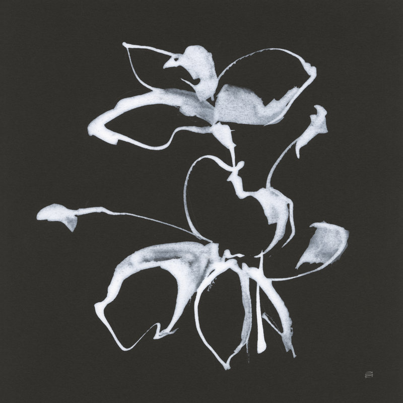 Wildflowers III by Chris Paschke - Wrapped Canvas Painting, 30cm H x 30cm W