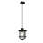 Adames Outdoor Pendant