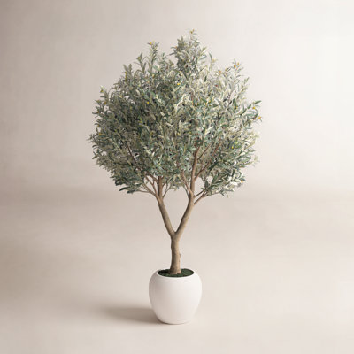 Ashwell 8' Artificial Olive Tree with Planter