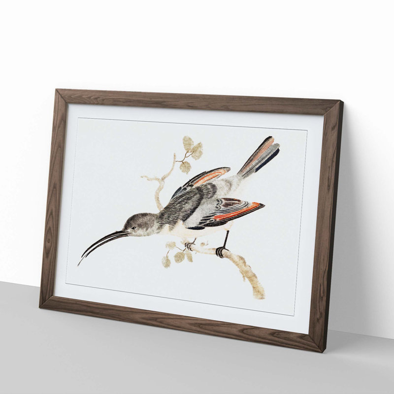 Hummingbird by Johan Teyler - Framed Print, 27cm H x 36cm W x 2cm D, Walnut Framed