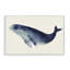 Baleine géante encadrée, giclée par Lily K.-82749537-82749549