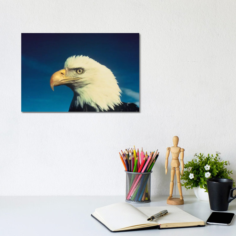 Bald Eagle by Unknown Artist - Wrapped Canvas Print, 20.32 cm H x 30.48 cm W