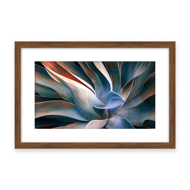 Nature Inspired The Colors in Leaves by  - Picture Frame Graphic Art on Paper, 32" H x 48" W x 1.125" D, Black