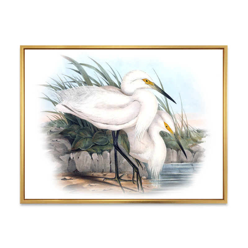 Vie d'oiseau rétro I - peinture sur toile, Cadre flottant doré, H 12 po x l 20 po x p 1 po