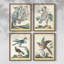 «Pastel Birds I», ensemble de 4 encadrés-109518764-109518767