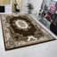 Chamblin Oriental Area Rug-20009408