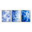 «Aqua Velvet Daisies Flower Flow», ensemble de 3 impressions murales sur toile encadrées-129076637-129076643