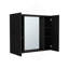 Medicine Cabinet Hops, Double Door, Mirror, One External Shelf, Black Wengue Finish-1056535866