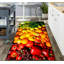 Moncur 50cm X 70cm Indoor / Outdoor Area Rug