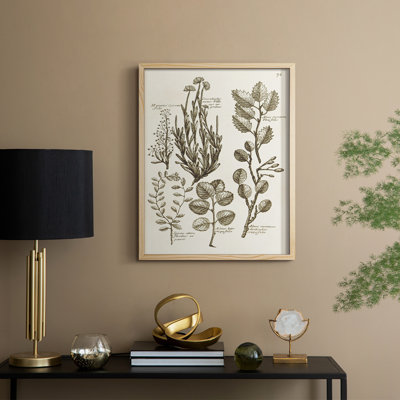 «Sepia Botanical Journal», reproduction encadrée en bois massif
