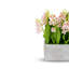 Parma RealTouch Muguet