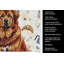 Serviette de cuisine Coffee Bar-1234934408
