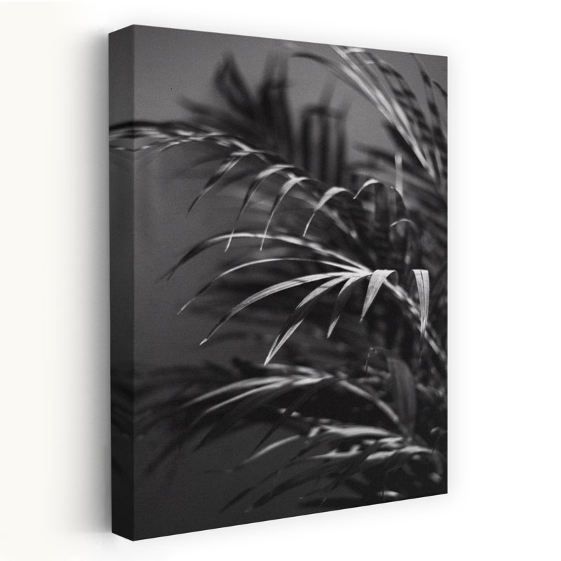 Art contemporain plante noire, H 24 po x l 16 po
