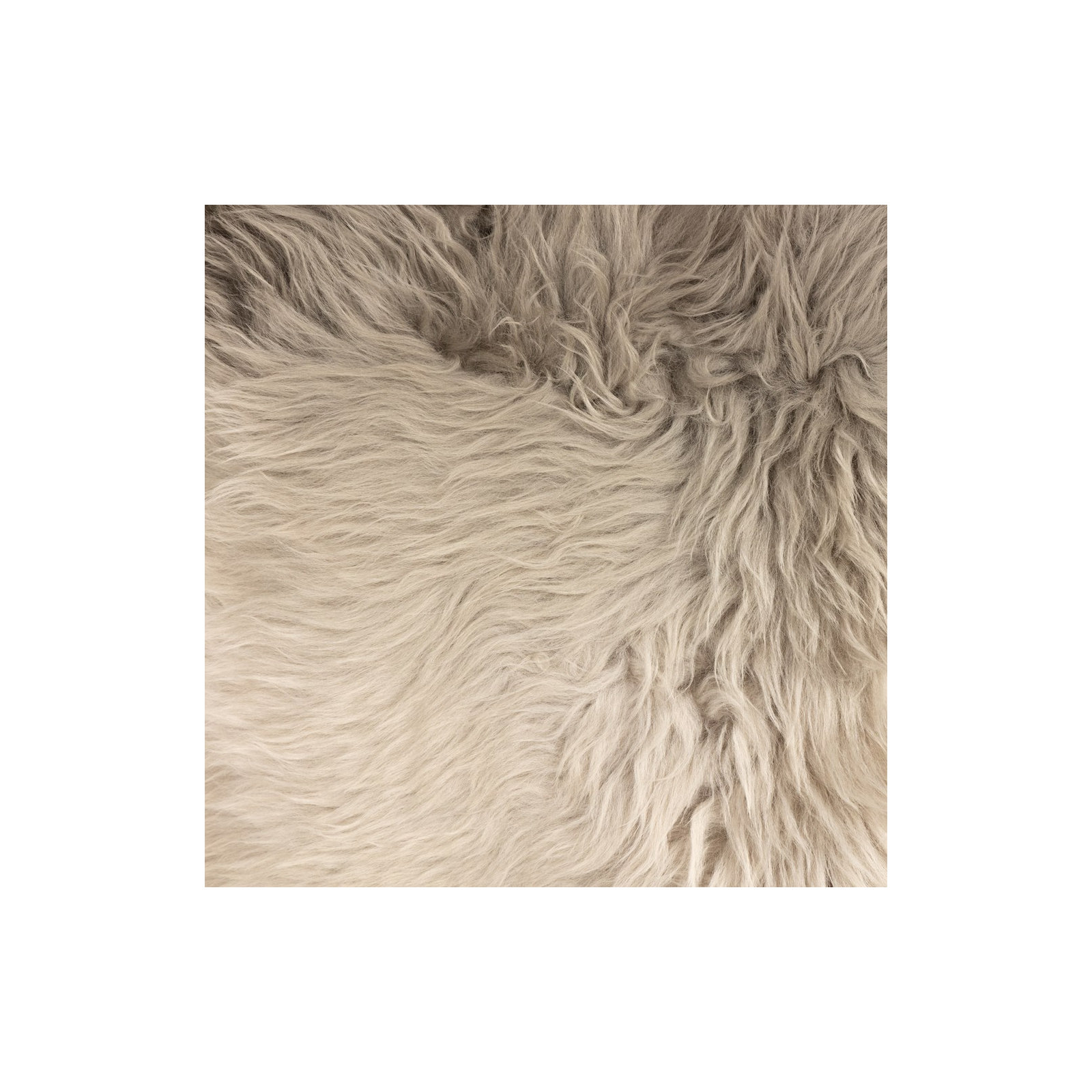 Stacey Shearling Standard Throw Blanket, Light Gray