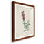 " Traditional Botanical I "-1689229154-1689228445