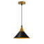 Robbie 1 - Light Black Pendant