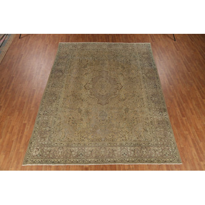 Traditional Area Rug 10x13