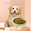 Bols pour animaux de compagnie détachables-119346604