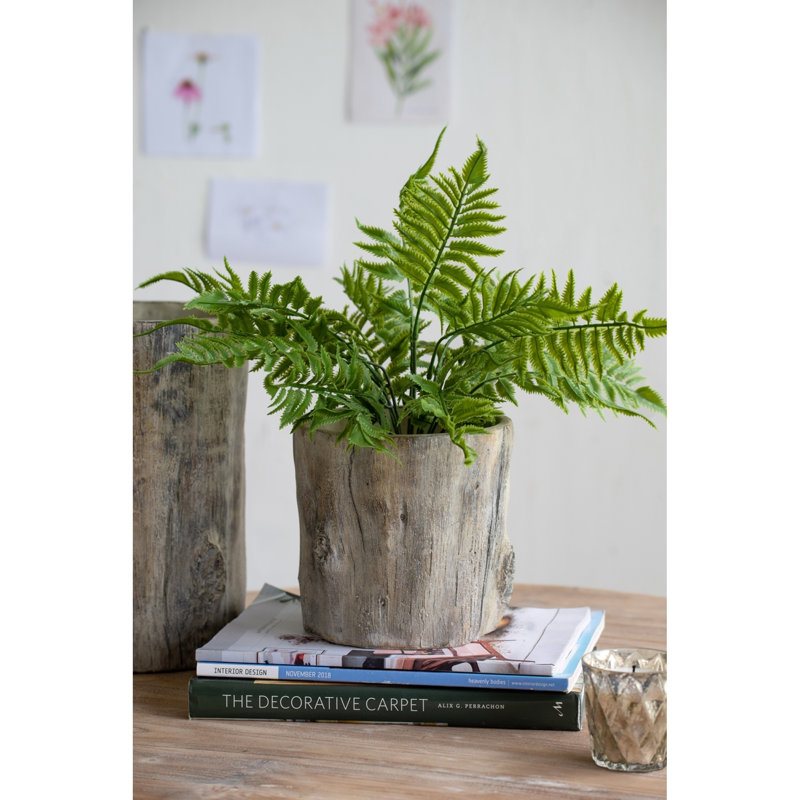 Durable Cement Rustic Style Fillmore Planter For Indoor/outdoor Elegance