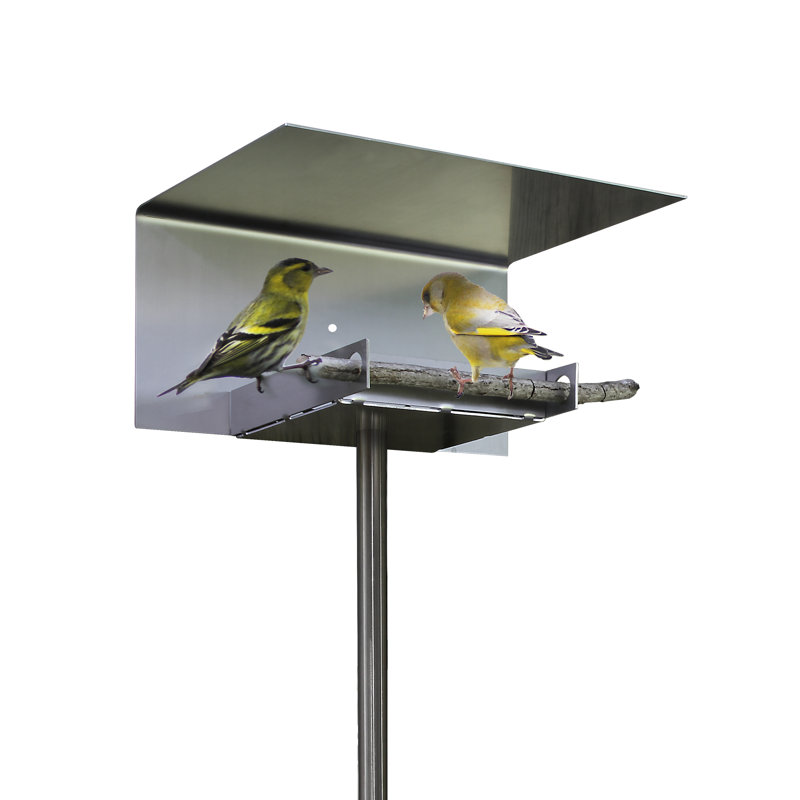 Giovannella Metal Pole Tray Bird Feeder