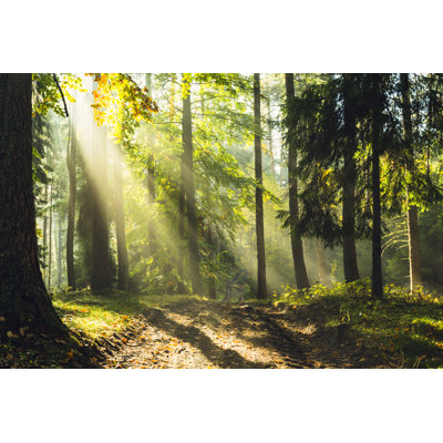 Rays Of Light - Wrapped Canvas Print