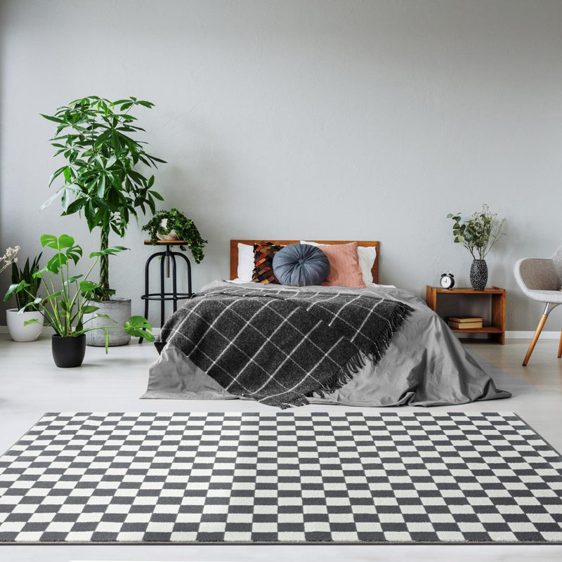 Hedelman Checkered Indoor Rug, Rectangle 5' x 7'