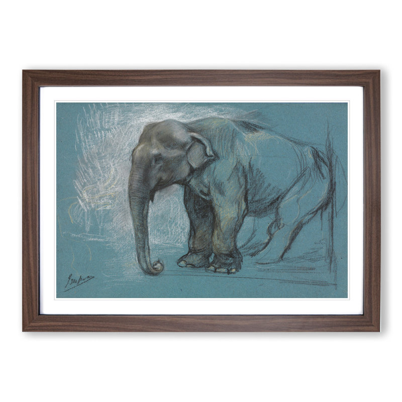 Study of an Elephant by John Macallan Swan - Picture Frame Painting, Walnut Framed, 36cm H x 48cm W x 2cm D