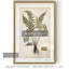 « palm botanique iv »-impression sur toile-1913027438-1913026792