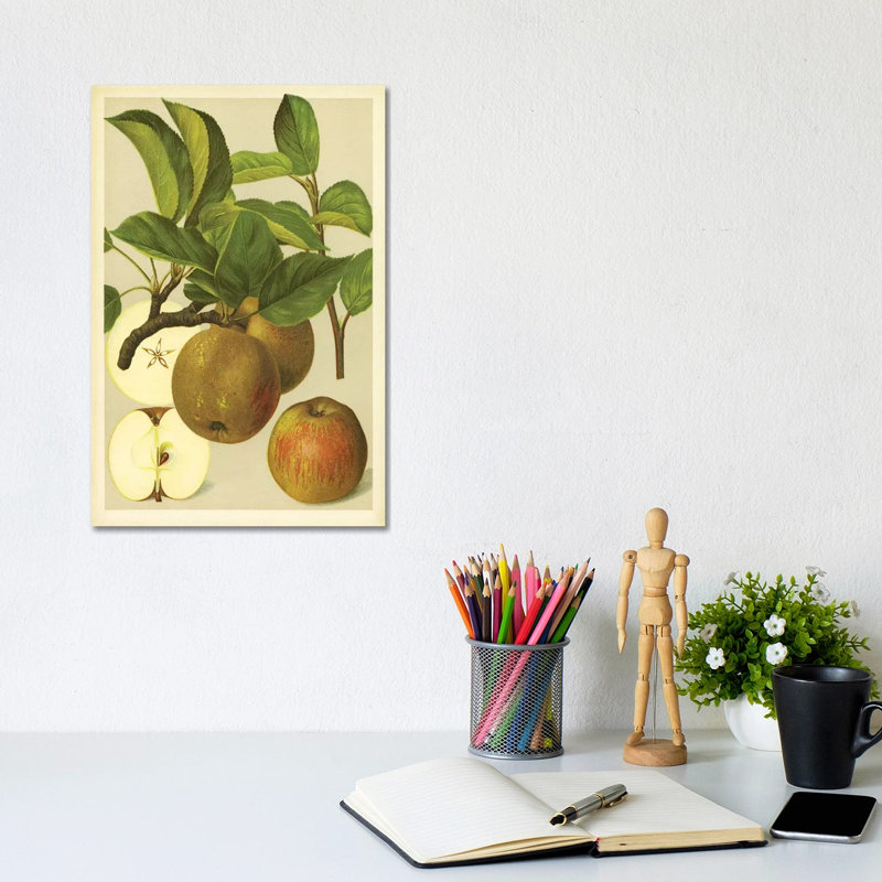 Russet Apples - Wrapped Canvas Print, 20.32 cm H x 30.48 cm W