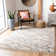 Triplett Fringe Shag Performance Abstract Rug