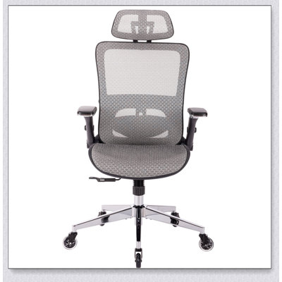 ErgoNomic Mesh Office Chair, High Back - Adjustable Headrest with Flip-Up Arms -  Inbox Zero, BA69B60EF7854EF691221C59961833B0