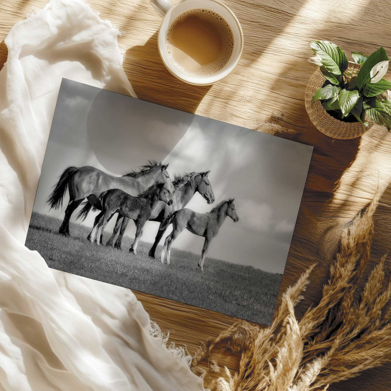 Famille de chevaux sauvages, H 18 po x l 24 po, Sans cadre, Famille de chevaux sauvages