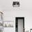 2-Light Black Farmhouse Flush Mount