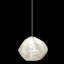 Natural Inspirations 1 - Light Pendant-50333867