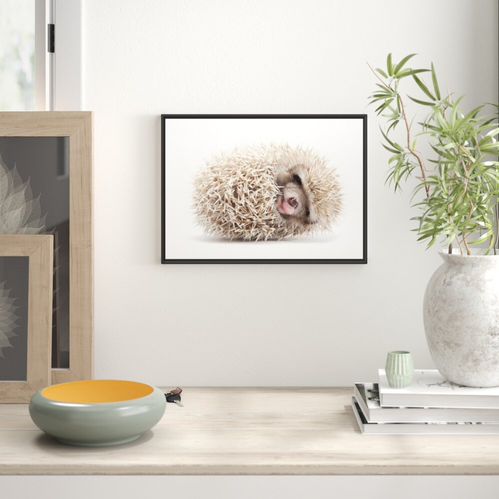 Gerahmtes Wandbild kleiner niedlicher Baby Igel