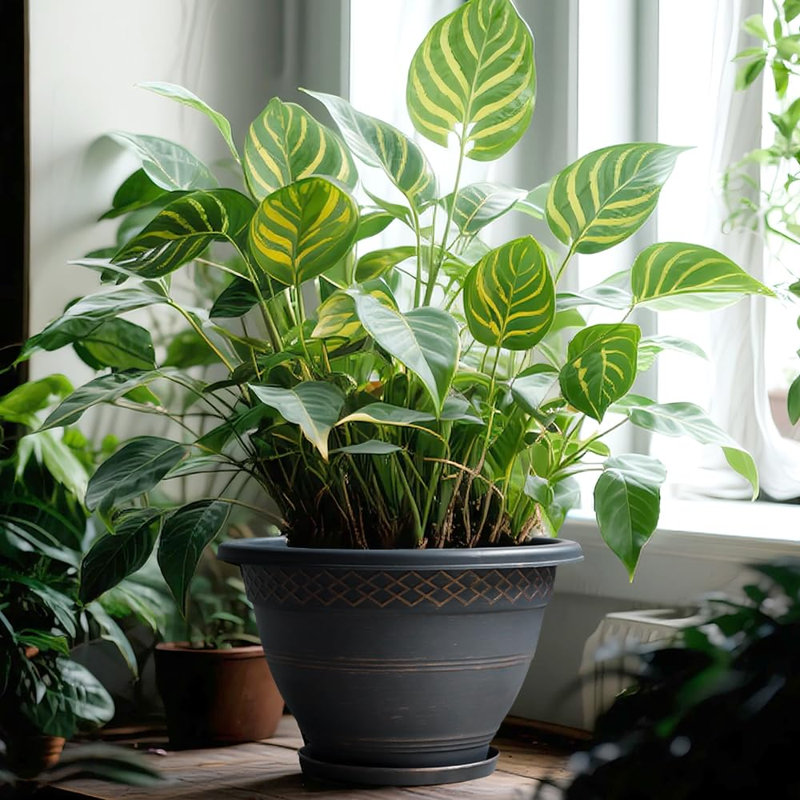 Jardinières d'extérieur de 40 cm (16 pouces), ensemble de 4, motif écossais cuivré