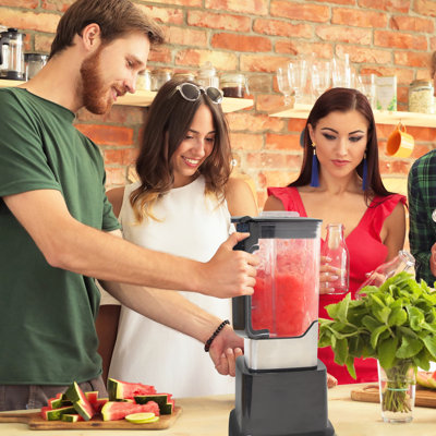 Quest 10 Speed 70ml Personal Blender