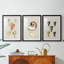 Coquilles antiques sur lin VI - impression sur mesure encadrée de qualité supérieure - 3 pièces-1212442325-1212442323
