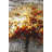 Abstract Tree by Fall - Orange Landscapes Framed Canvas Decor