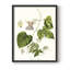 Passion Passion Trio I, reproduction encadrée - bois massif-1578760987-1578760982