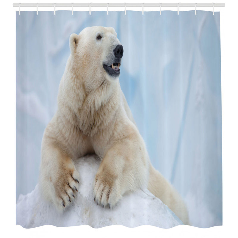 Ensemble de rideau de douche et crochets zoo, H 70 po x l 69 po