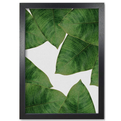 Banana Leaf II - Print