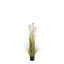 Faux Pampas Grass Grass in Pot-93756716
