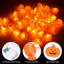 Indoor / Outdoor Lights
