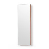 Zone 10'' W Mirrored Medicine Cabinet
