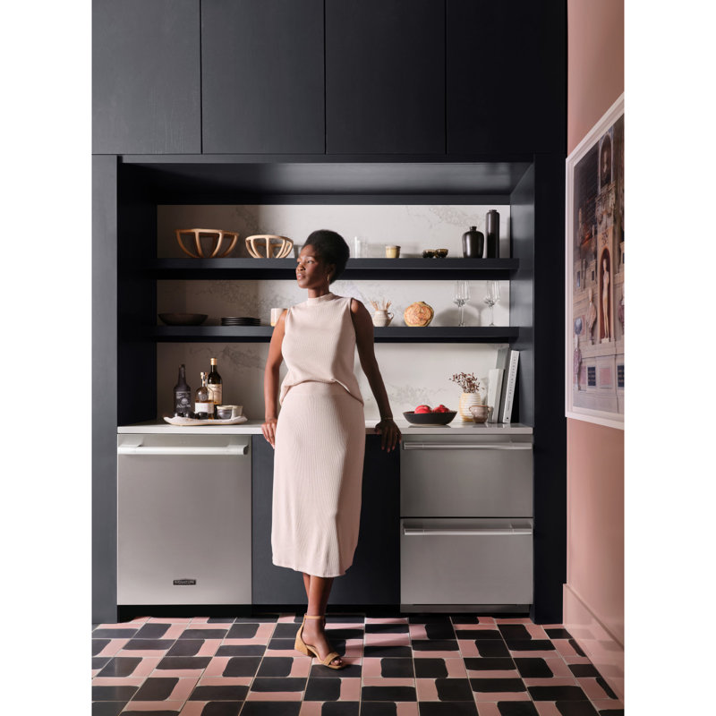 Powersteam Stainless Steel Dishwasher