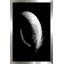 Dream Feathers - Photographie d'un seul cadre-87453697-89017826
